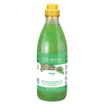 ISB Fruit of the Groomer Mint Шампунь для любого типа шерсти с витамином В6 1 л — фото 2