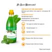 ISB Fruit of the Groomer Mint Шампунь для любого типа шерсти с витамином В6 1 л — фото 3