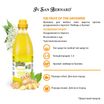 ISB Fruit of the Groomer Ginger&Elderbery Шампунь для любого типа шерсти против раздражений и перхоти 1 л — фото 3