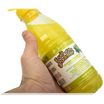 ISB Fruit of the Groomer Ginger&Elderbery Шампунь для любого типа шерсти против раздражений и перхоти 1 л — фото 6