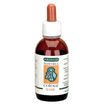 ISB Reinforce Средство для восстановления и яркости окраса "COPPER" 30мл