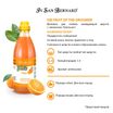 ISB Fruit of the Groomer Orange Шампунь для слабой выпадающей шерсти 1 л — фото 3