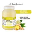 ISB Fruit of the Groomer Ginger&Elderbery Шампунь для любого типа шерсти против раздражений и перхоти 3,25 л СКИДКА 40%
