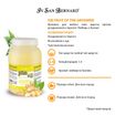 ISB Fruit of the Groomer Ginger&Elderbery Шампунь для любого типа шерсти против раздражений и перхоти 3,25 л СКИДКА 40% — фото 3