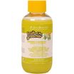 ISB Fruit of the Groomer Ginger&Elderbery Шампунь для любого типа шерсти против раздражений и перхоти 100 мл