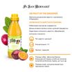 ISB Fruit of the Groomer Maracuja Шампунь для длинной шерсти с протеинами 500 мл — фото 3