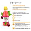 ISB Fruit of the Groomer Black Cherry Шампунь для короткой шерсти с протеинами шелка 500 мл — фото 3