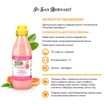 ISB Fruit of the Groomer Pink Grapefruit Шампунь для шерсти средней длины с витаминами 500 мл — фото 3