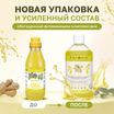 ISB Fruit of the Groomer Ginger&Elderbery шампунь с противовоспалительным эффектом 500 мл — фото 3