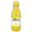 ISB Fruit of the Groomer Ginger&Elderbery Шампунь для любого типа шерсти против раздражений и перхоти 500 мл СКИДКА 40% — фото 2
