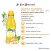 ISB Fruit of the Groomer Ginger&Elderbery Шампунь для любого типа шерсти против раздражений и перхоти 500 мл СКИДКА 40% — фото 3