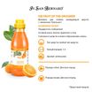 ISB Fruit of the Groomer Orange Шампунь для слабой выпадающей шерсти 500 мл — фото 3