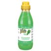 ISB Fruit of the Groomer Mint Шампунь для любого типа шерсти с витамином В6 500 мл — фото 2