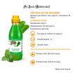 ISB Fruit of the Groomer Mint Шампунь для любого типа шерсти с витамином В6 500 мл — фото 3