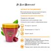 ISB Fruit of the Groomer Black Cherry Восстанавливающая маска для короткой шерсти с протеинами шелка 250 мл — фото 3