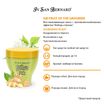 ISB Fruit of the Groomer Ginger&Elderbery Восстанавливающая маска с противовоспалительным эффектом 250 мл — фото 3