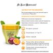 ISB Fruit of the Groomer Maracuja Восстанавливающая маска для длинной шерсти с протеинами 250 мл СКИДКА 40% — фото 3