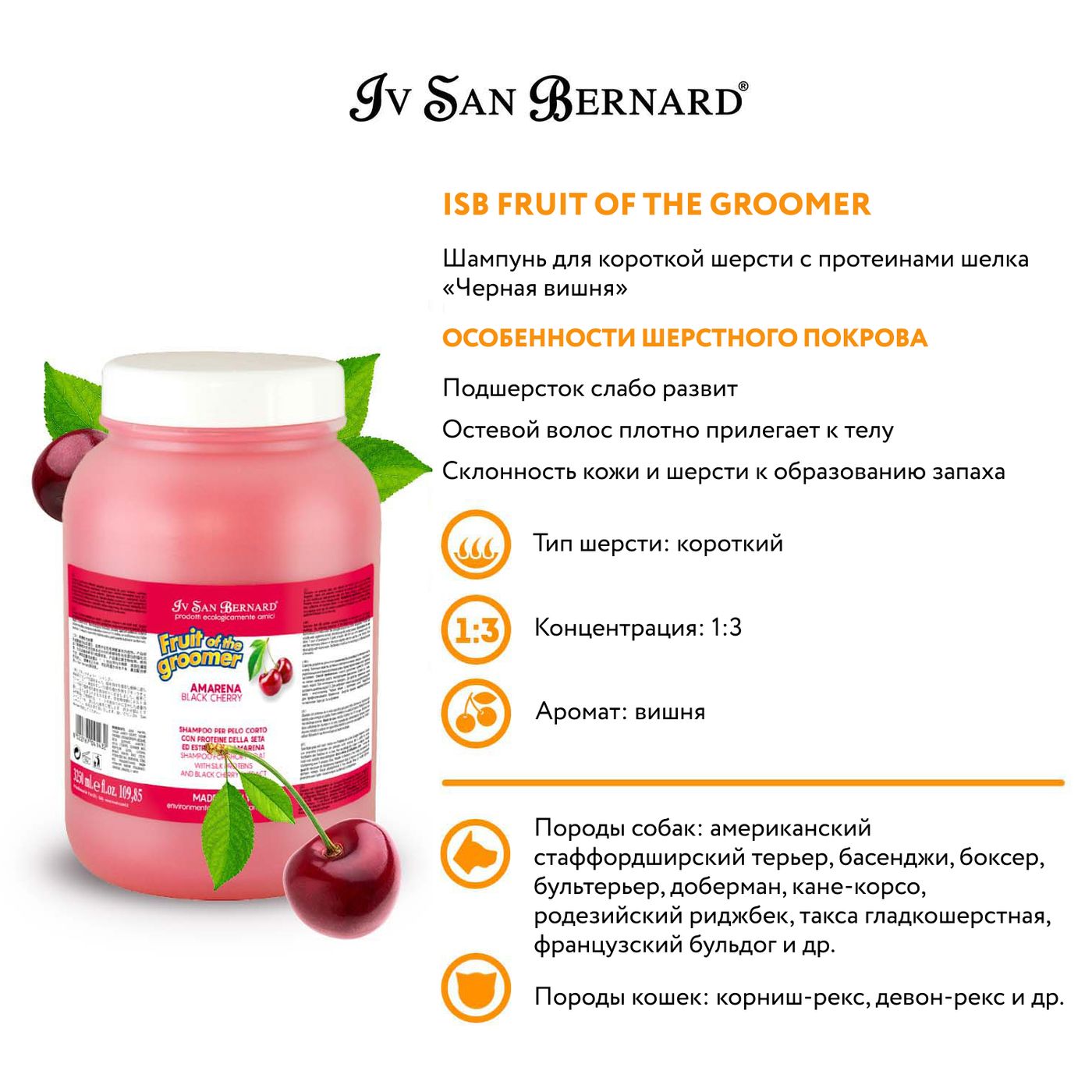 ISB Fruit of the Groomer Black Cherry Шампунь для короткой шерсти с протеинами шелка 3,25 л СКИДКА 40% — фото 3