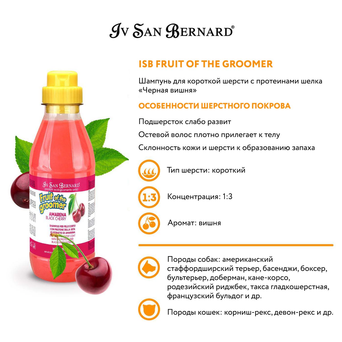 ISB Fruit of the Groomer Black Cherry Шампунь для короткой шерсти с протеинами шелка 500 мл — фото 3