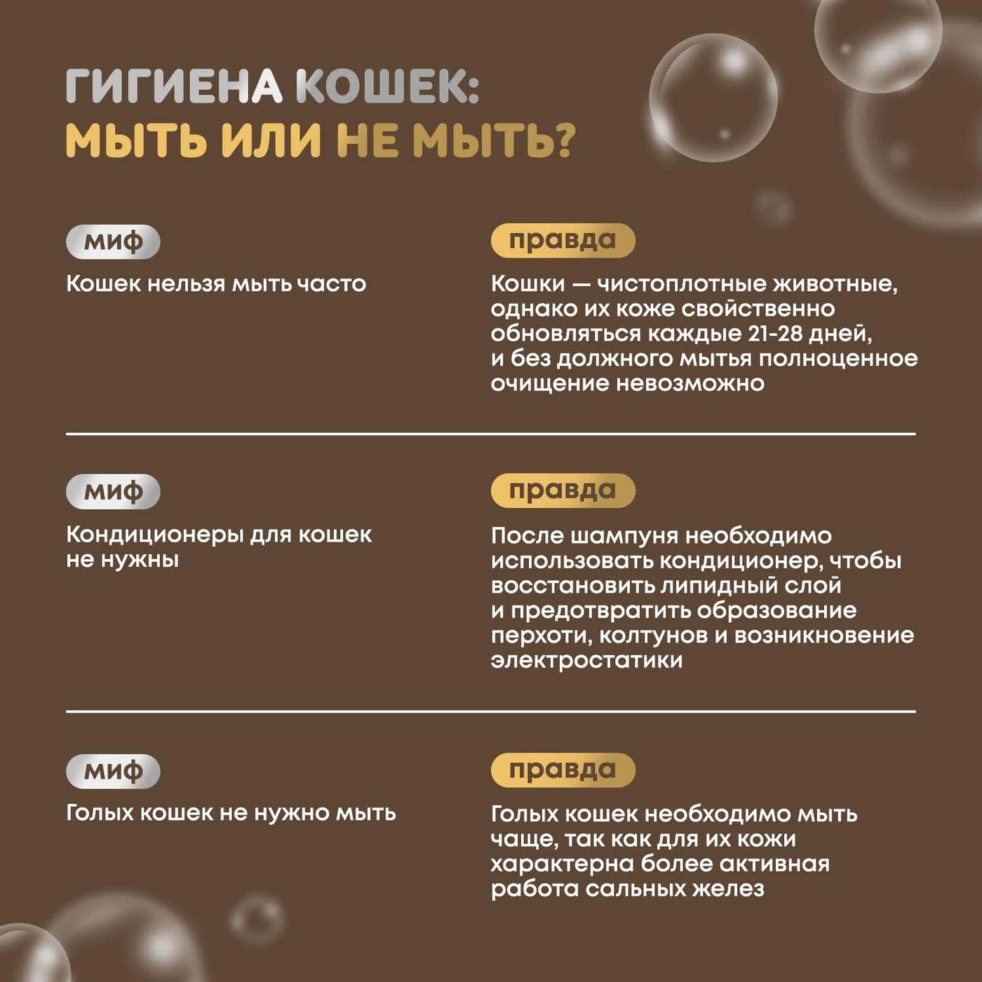 ISB Just for cats Apricot Шампунь для короткой и средней шерсти 1000 мл — фото 6