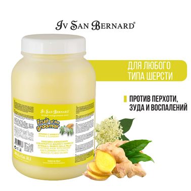 ISB Fruit of the Groomer Ginger&Elderbery Восстанавливающая маска с противовоспалительным эффектом 3 л СКИДКА 40%