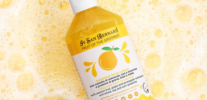 Джек-рассел-терьер рядом с косметикой Iv San Bernard Fruit of the Groomer с грейпфрутом